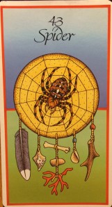 What wisdom does Spider bring to you? Listen closely and she will tell you a story about yourself.